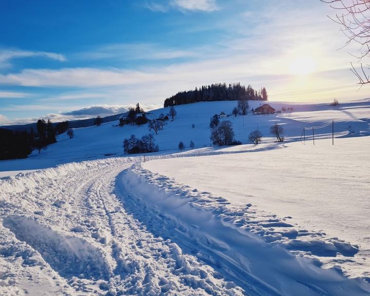 Gasthof zum Löwen